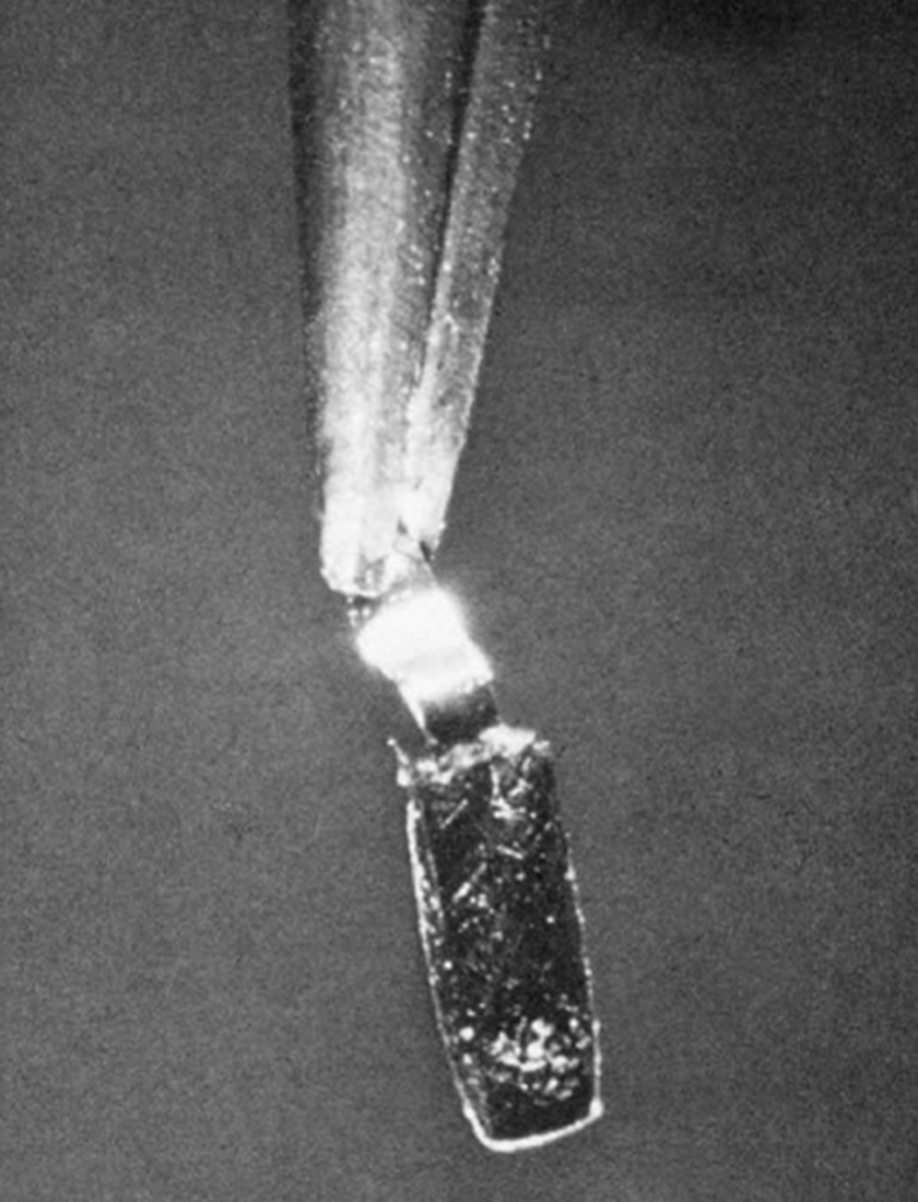 A photo of a small piece of metal being held with tweezers.